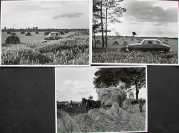 Borgward Isabella at Lueneburg Heath 1956 seven Factoryphotos (10162)